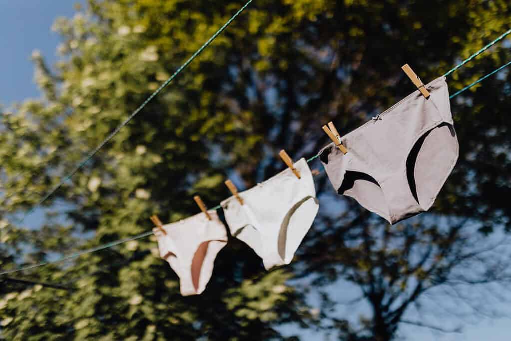 sustainable lingerie