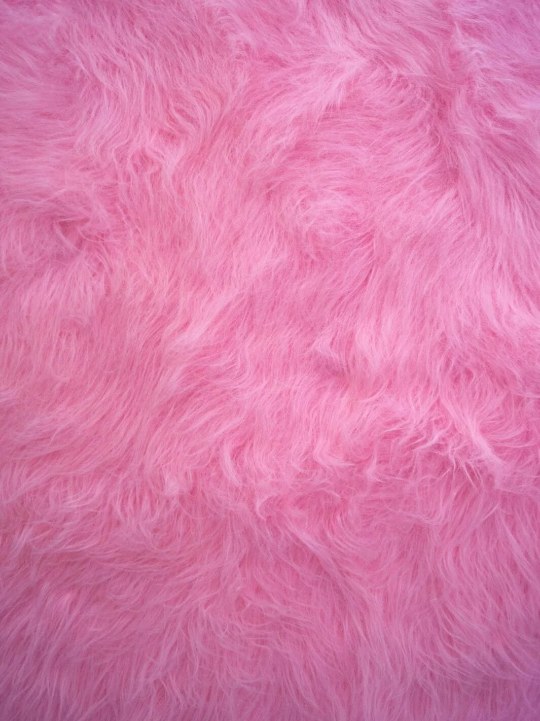 animal fur in fashion