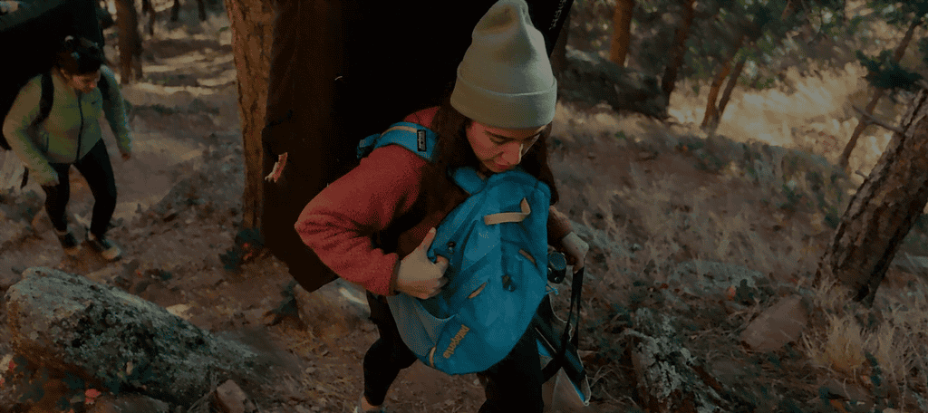 Travel & Daypacks by Patagonia