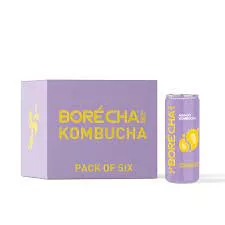 Borécha kombucha