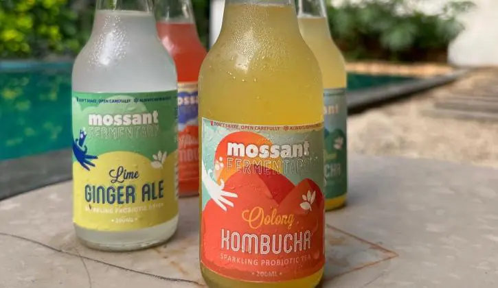 Top Kombucha Brands