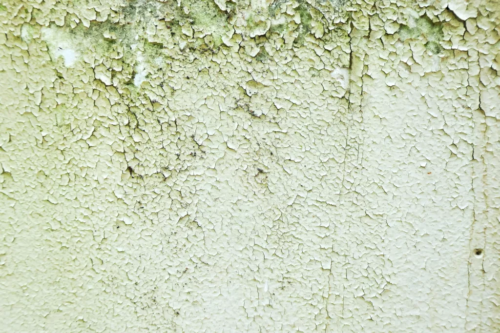 Understanding Shower Mold