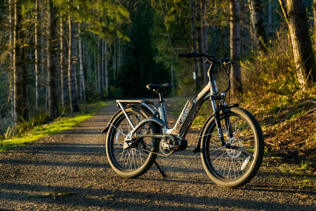 Electric Mountain Bikes