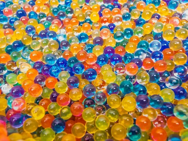 How long do Orbeez take to grow?