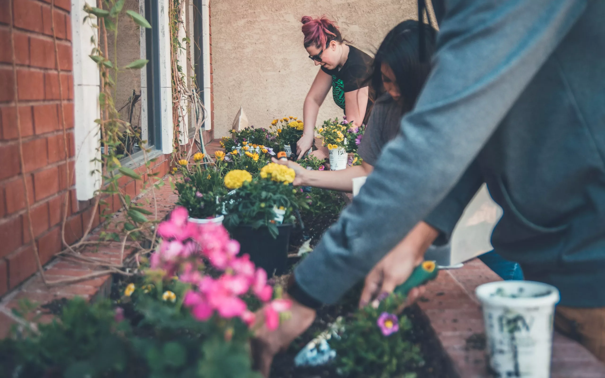 The Role of Temperature and Moisture in Composting