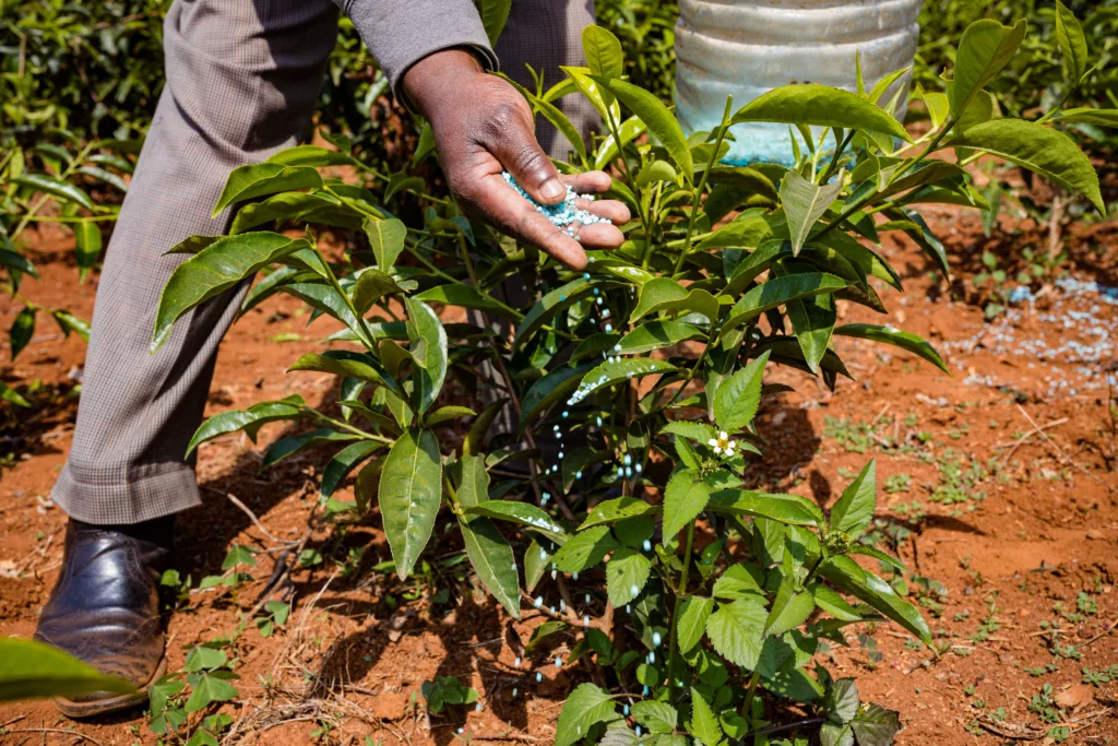 Start Composting at Home