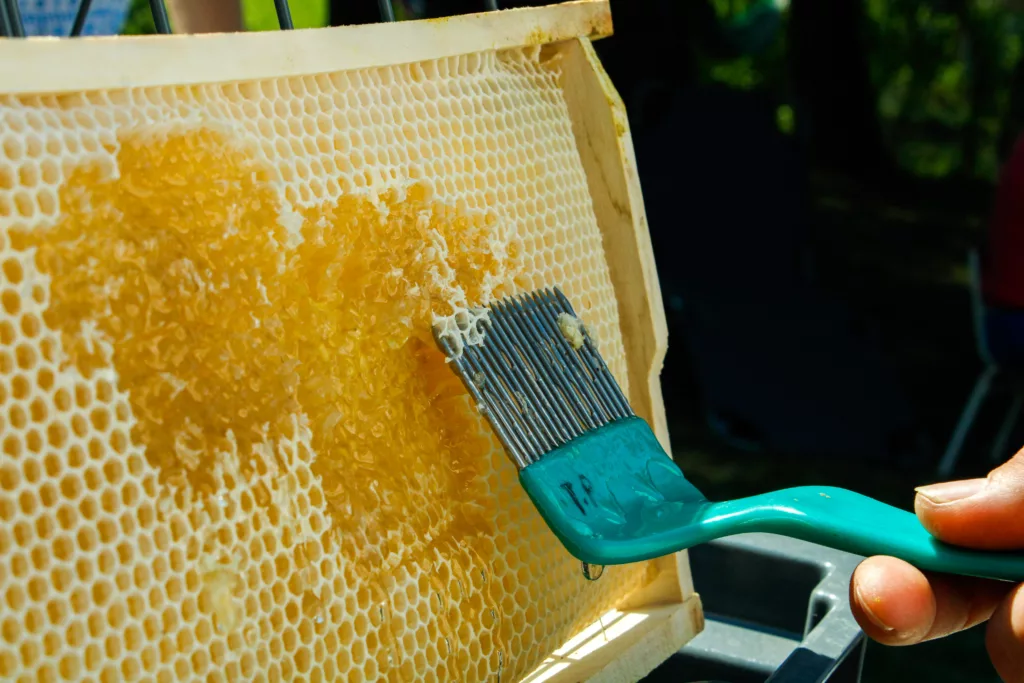 Beeswax as an Edible Coating