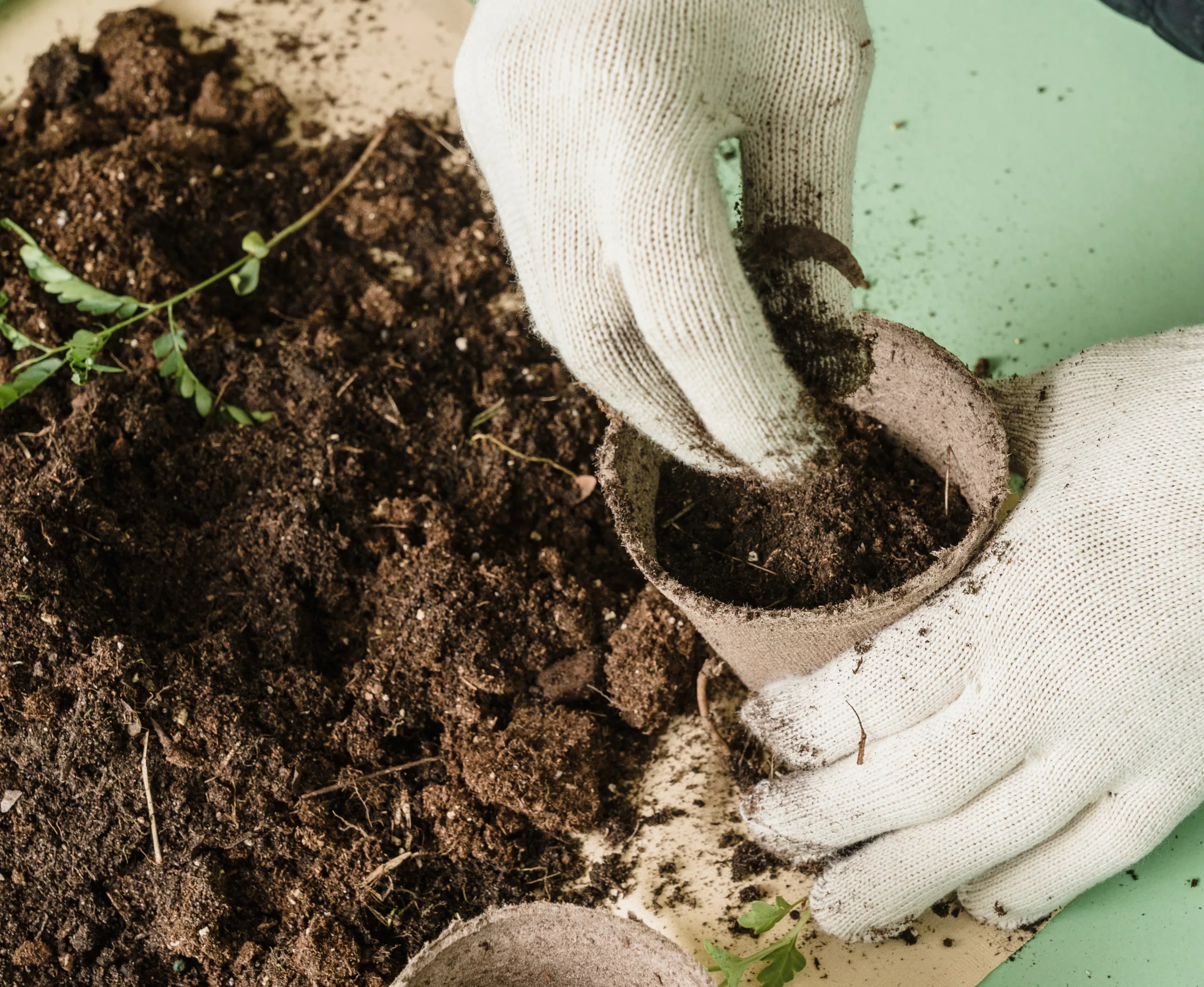 Kitchen Composters