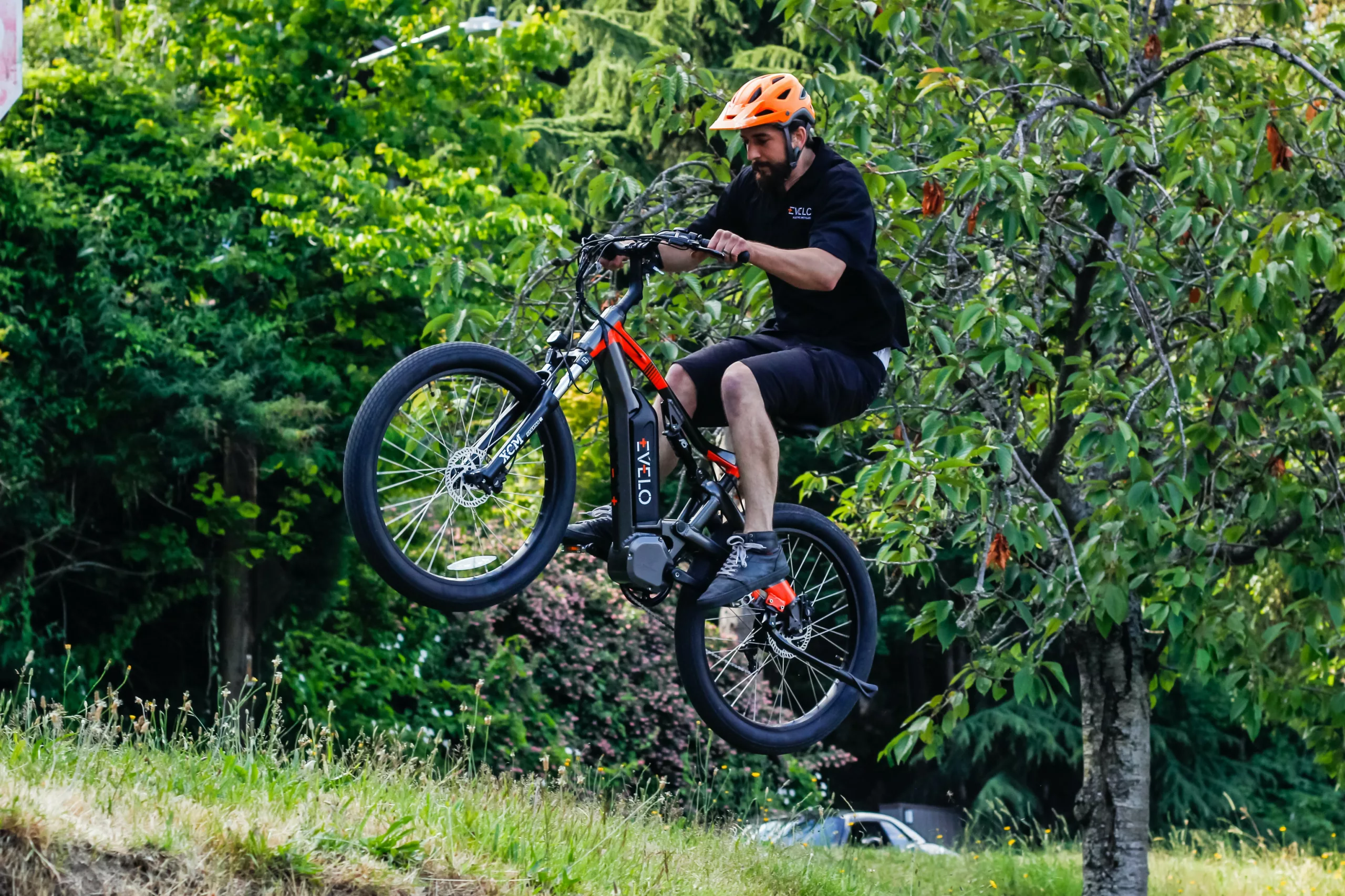 Affordable electric mountain bikes