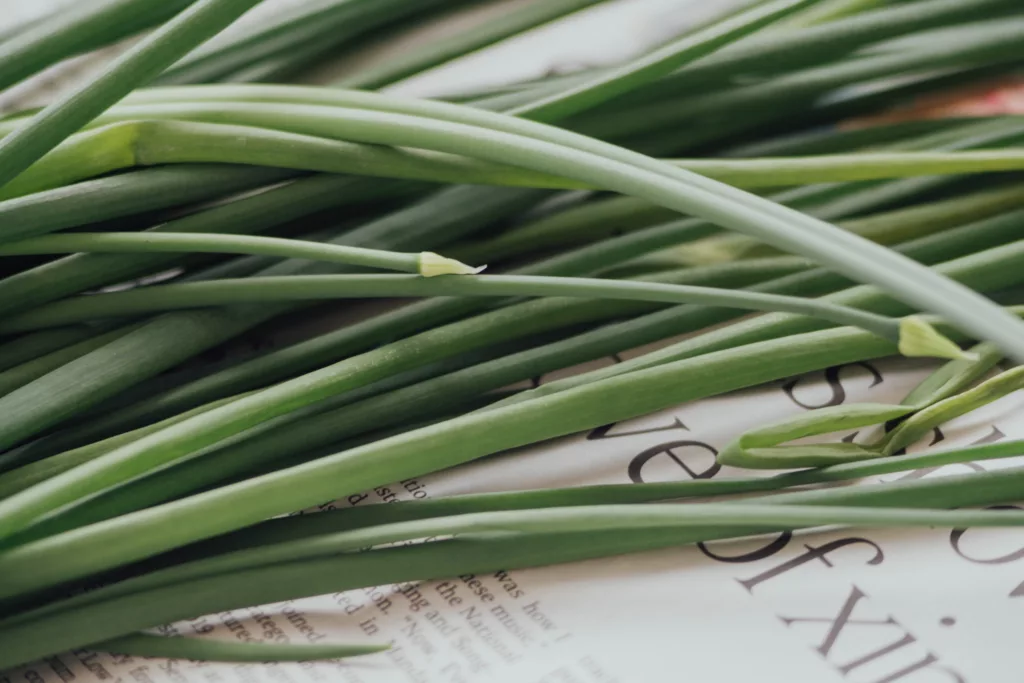 Lemongrass - Fly repellant plant