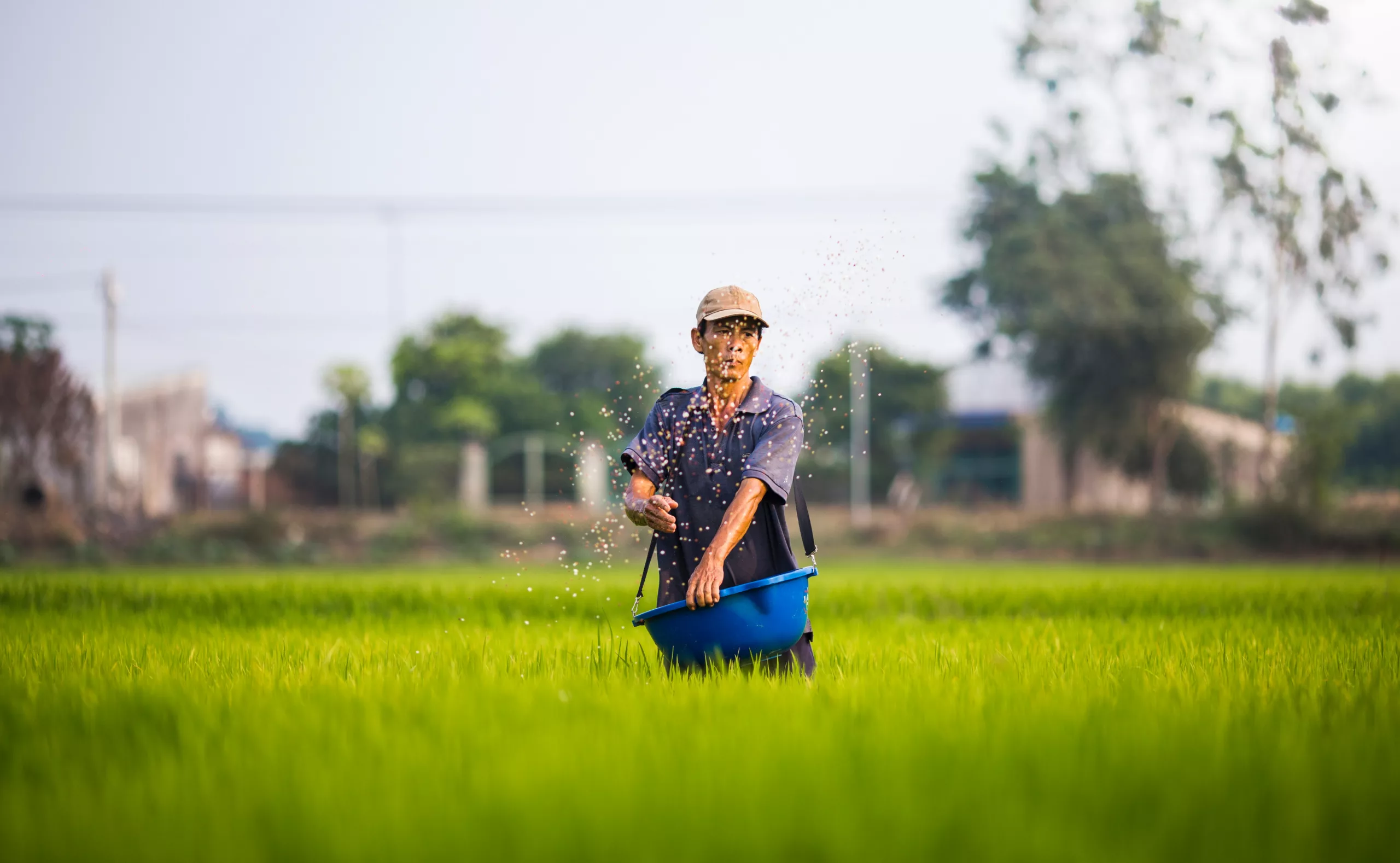 Sustainable Farming