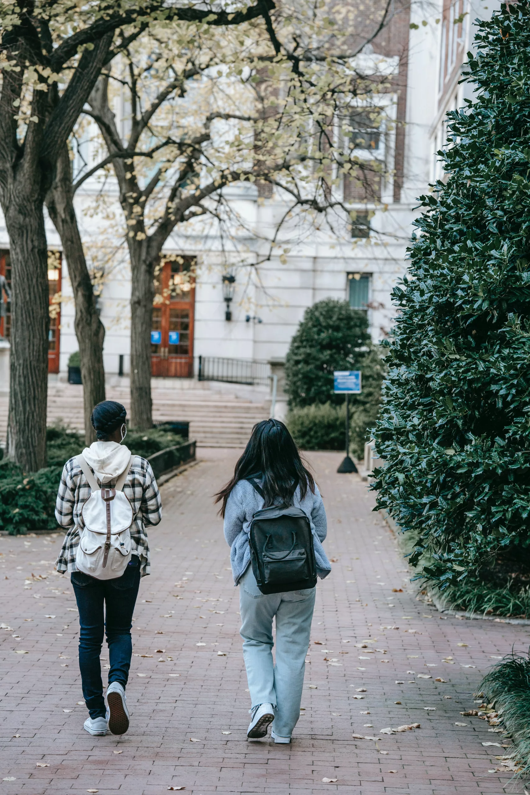 vegan rucksacks