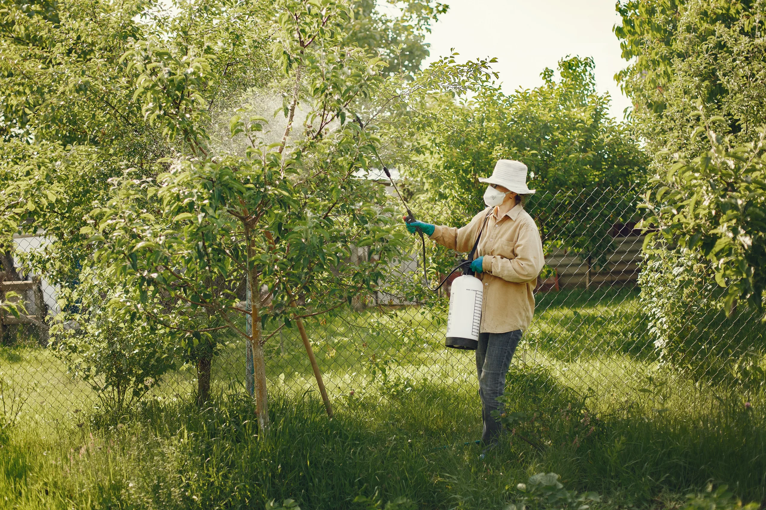 Organic weed killers