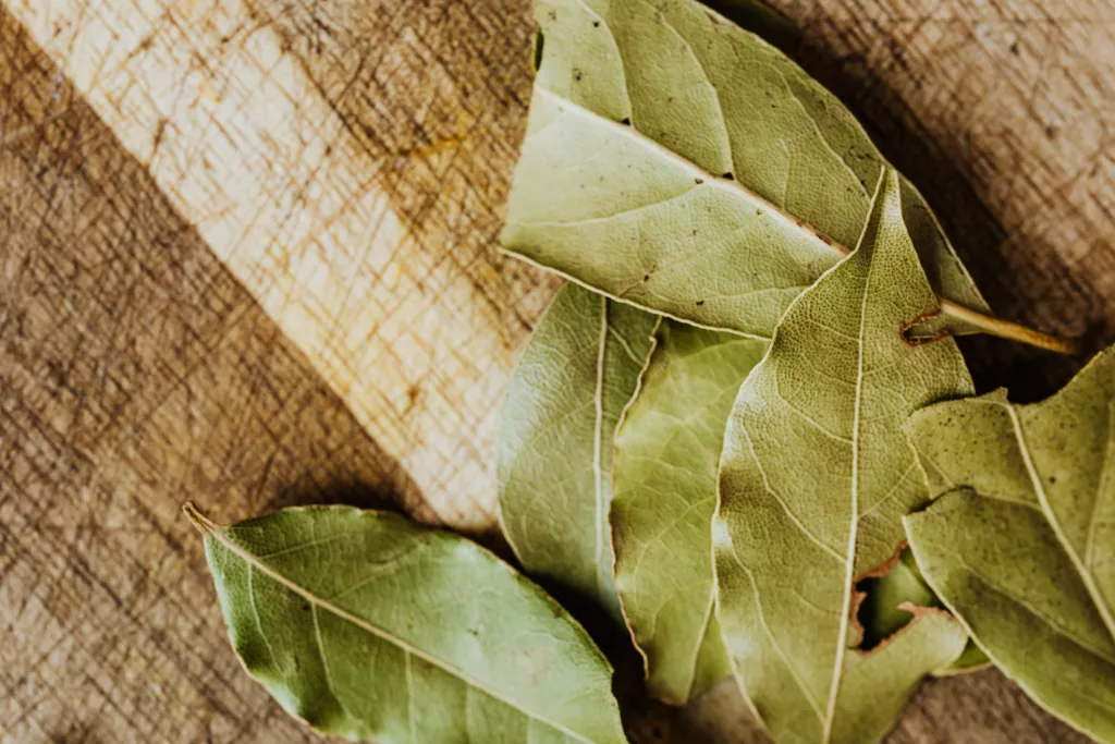 Bay Leaves - Fly repellant plant