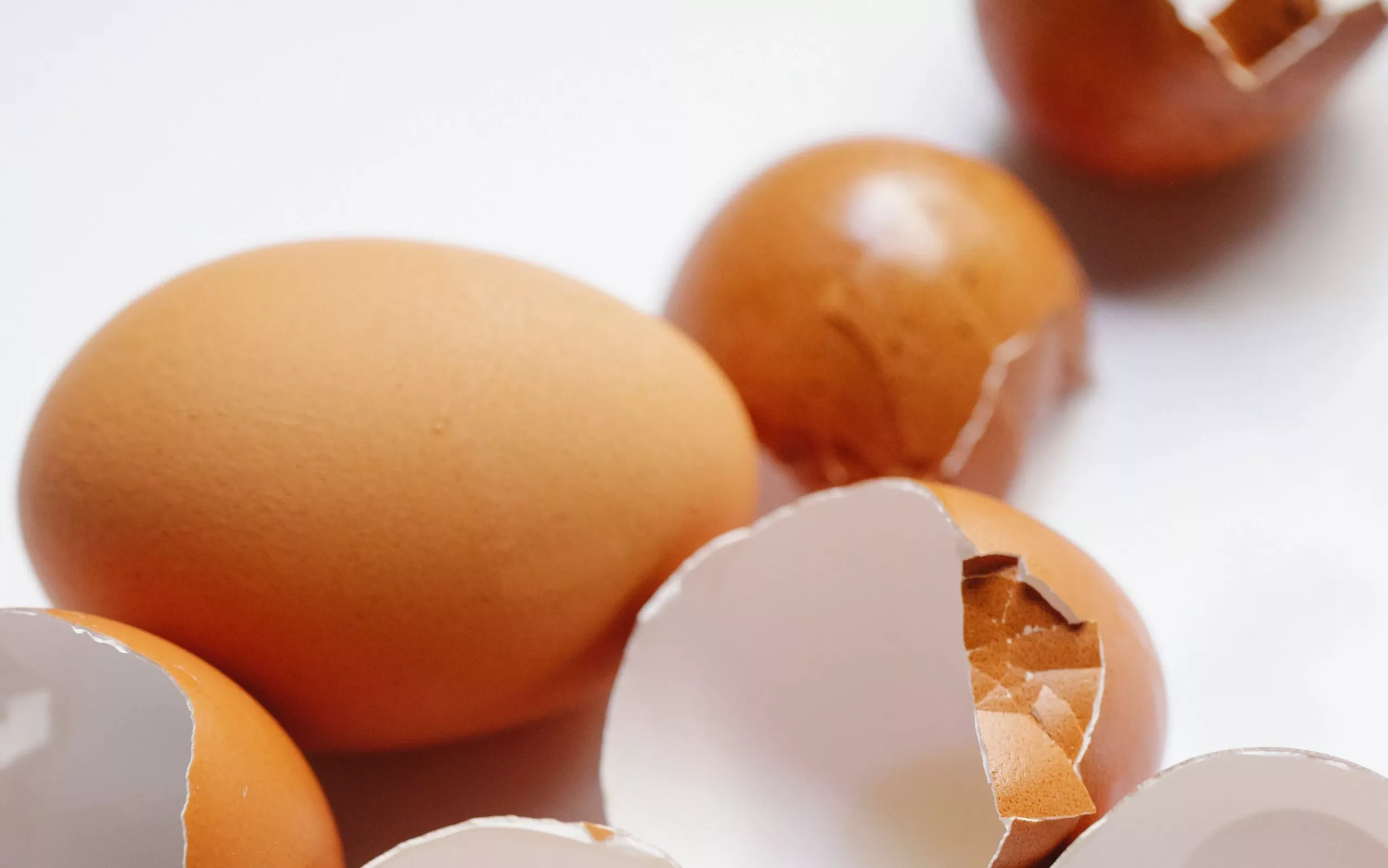 Historical Context of Egg shell powder 