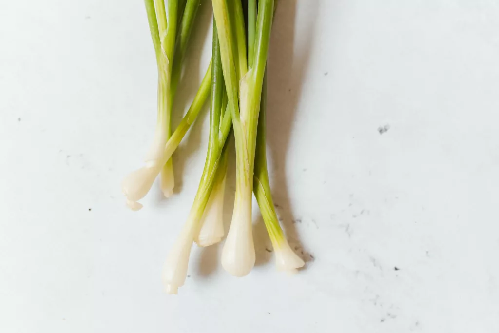 How to Cut Green Onions