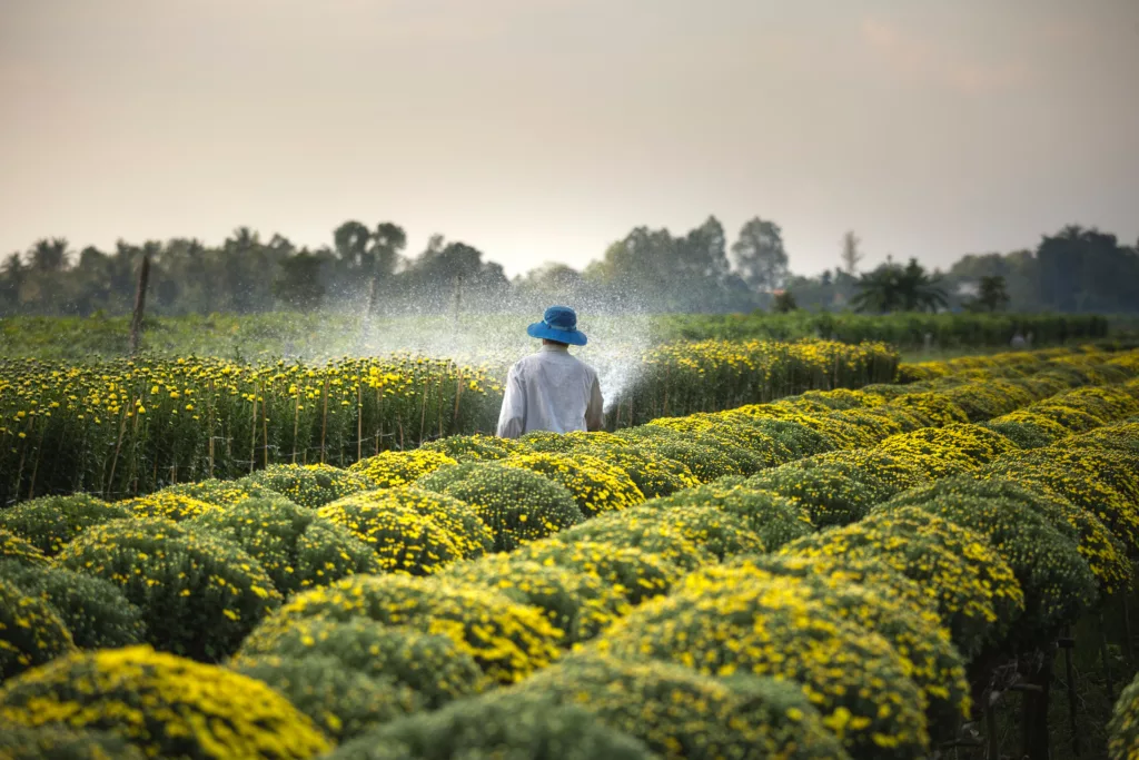 Challenges in Sustainable Farming