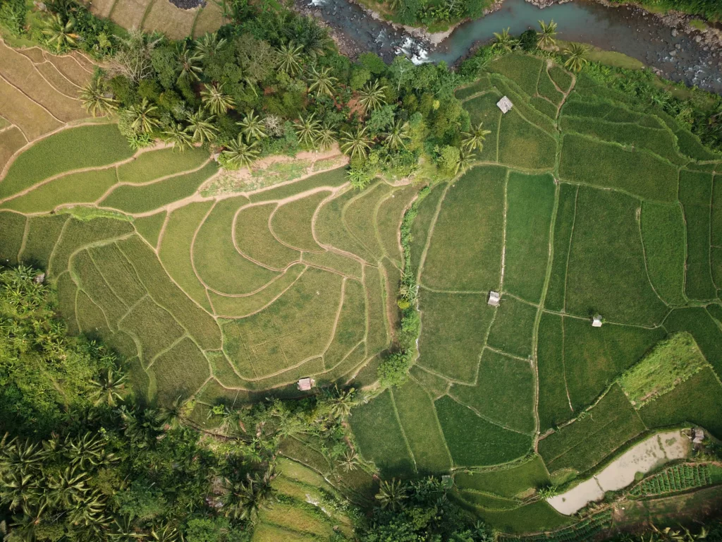 Sustainable Farming Promotes Biodiversity