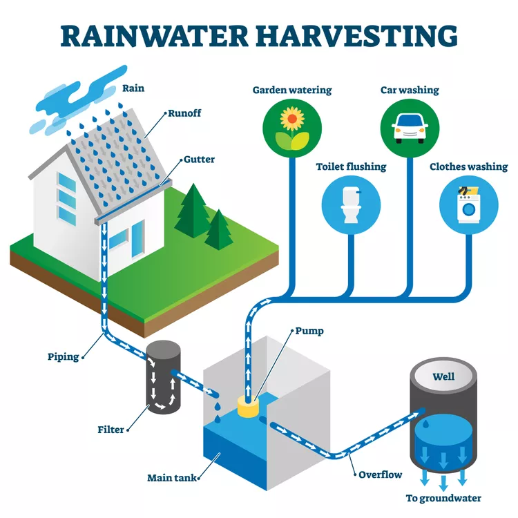 Rainwater harvesting