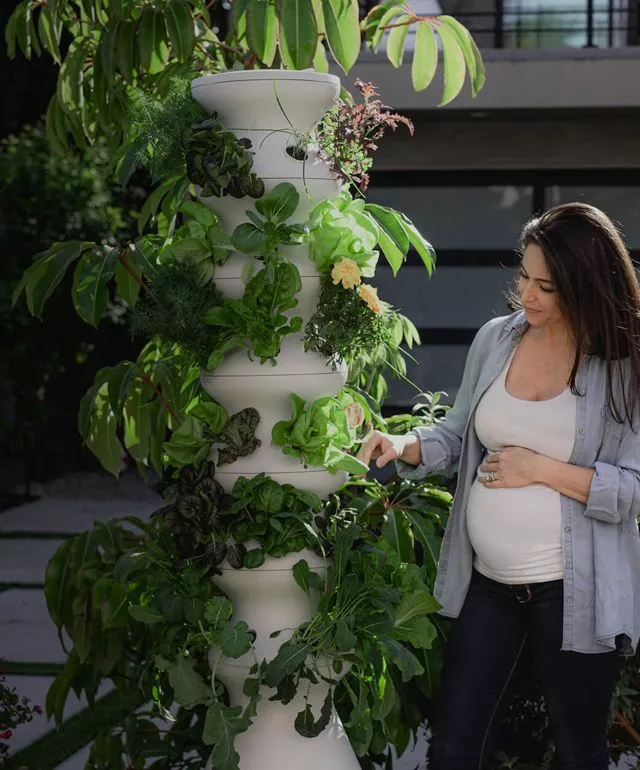 Hydroponic lettuce grow tower systems