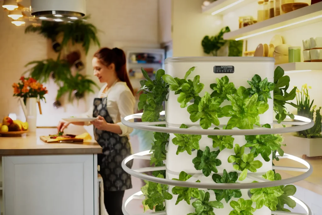 Best vertical lettuce growing towers