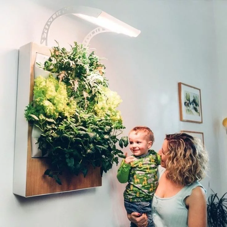 Affordable Indoor Hydroponics Kits for Small Spaces