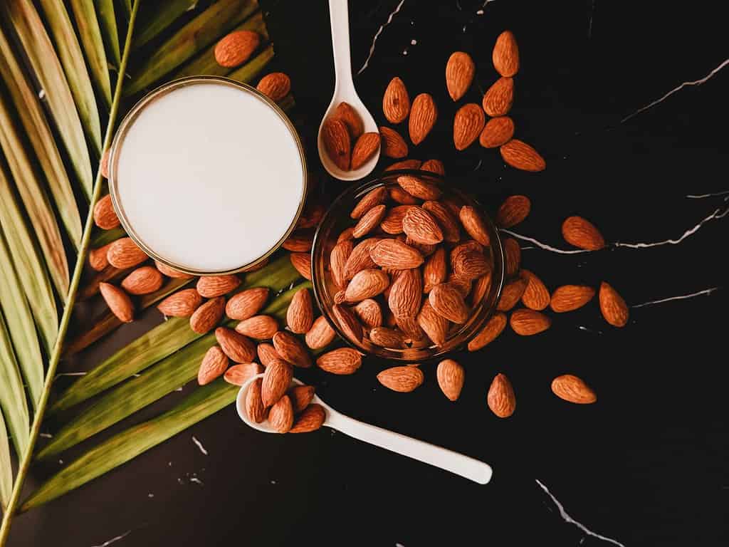 Almond Milk's Shelf Life