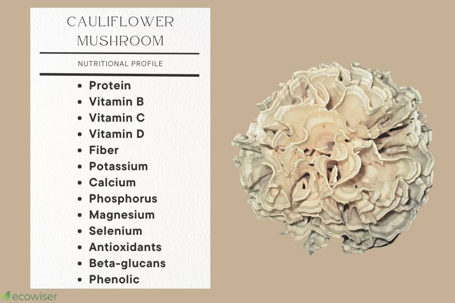 Nutrient Composition