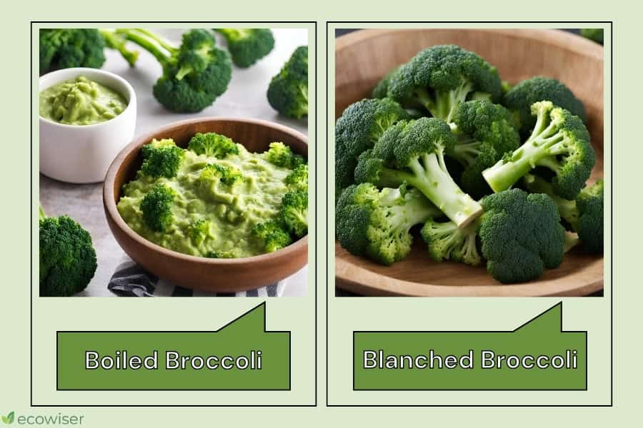 Why It's Important to Learn How To Blanch Broccoli