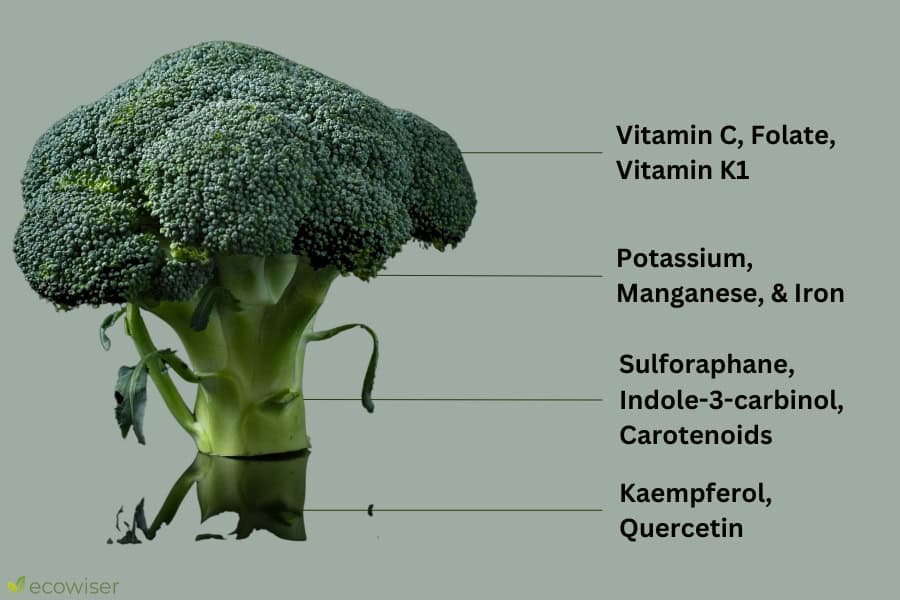 How to Reduce Waste While Blanching Broccoli