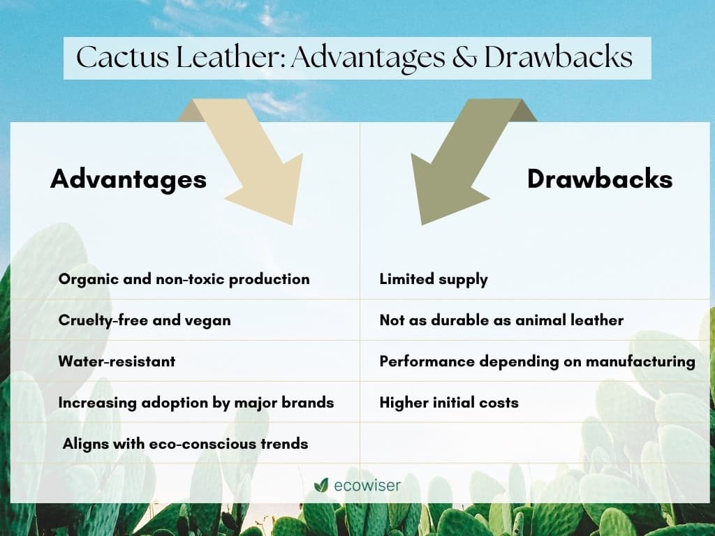 pros and cons of cactus leather