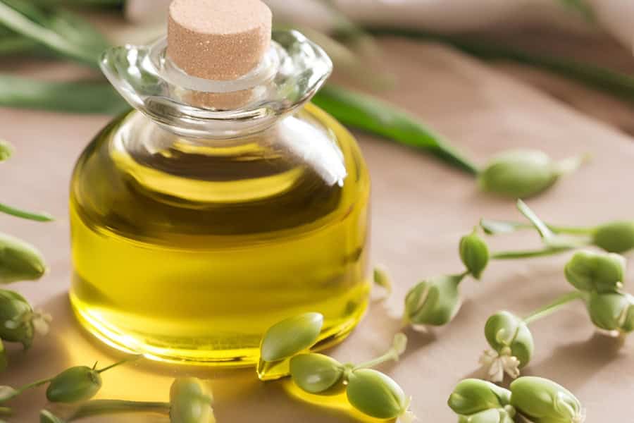 camelina oil 