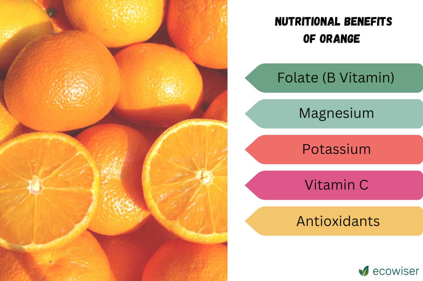 Nutritional Benefits of Oranges for Chickens