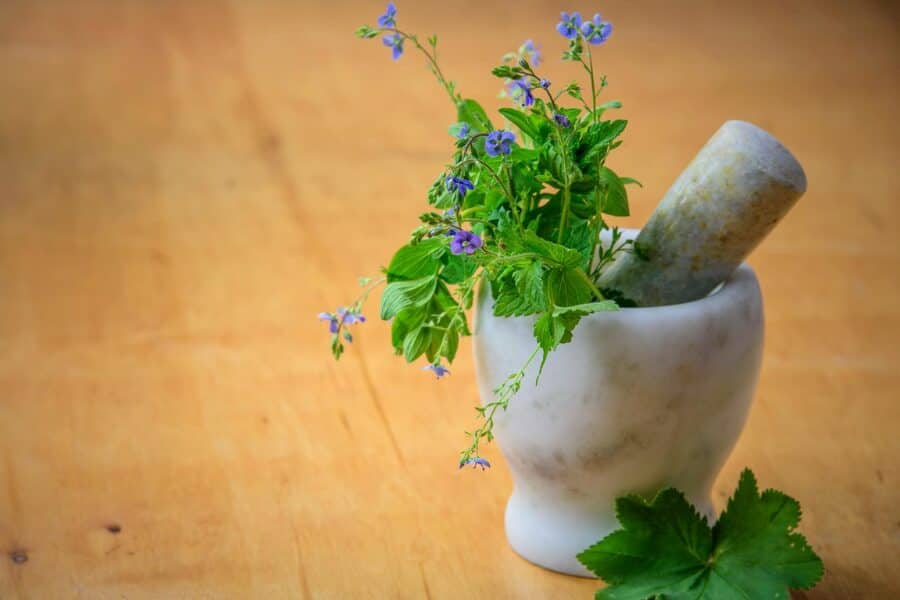  Impact of Basil Flowers on Basil Leaves