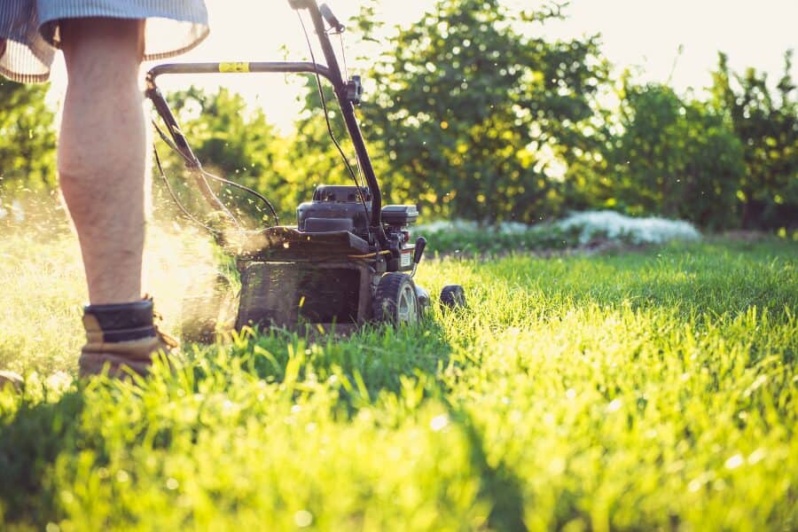 What We Love About Sunday Lawn Care 