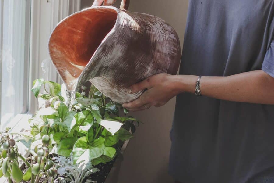 Balancing Basil Plant Flowering and Leaf Growth