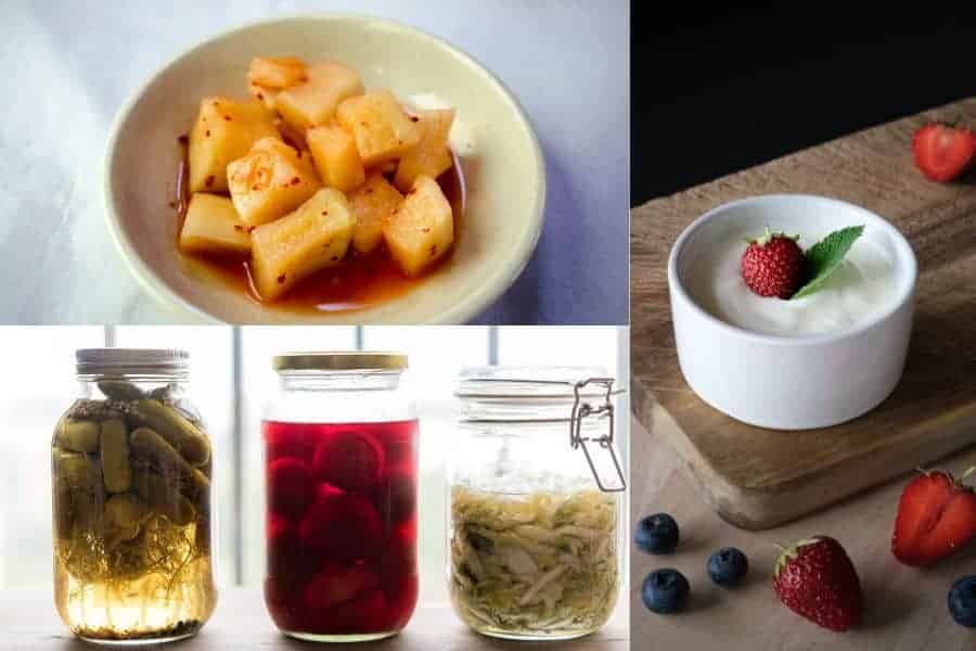 Exploring Different Types of Probiotics