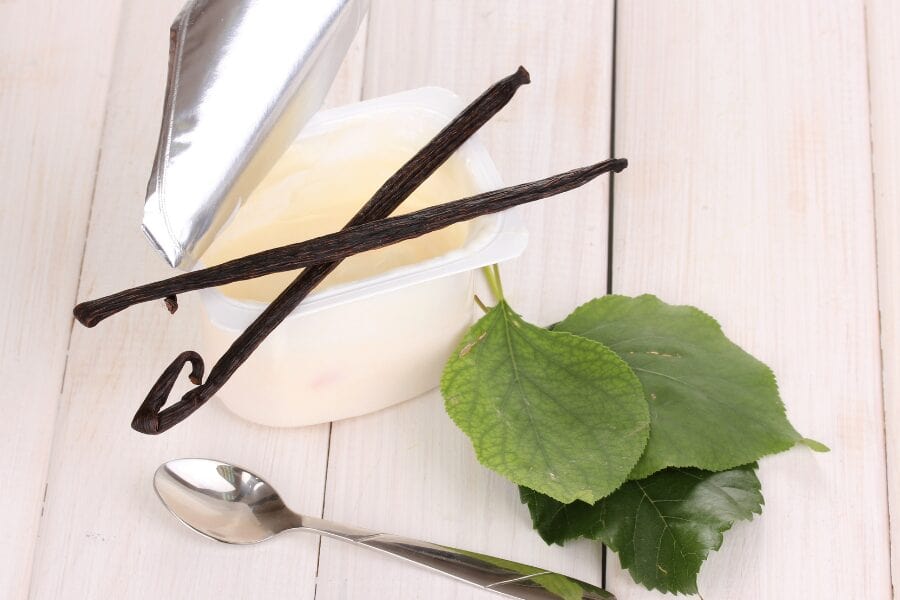 Ingredients Needed to Make Vanilla Yogurt