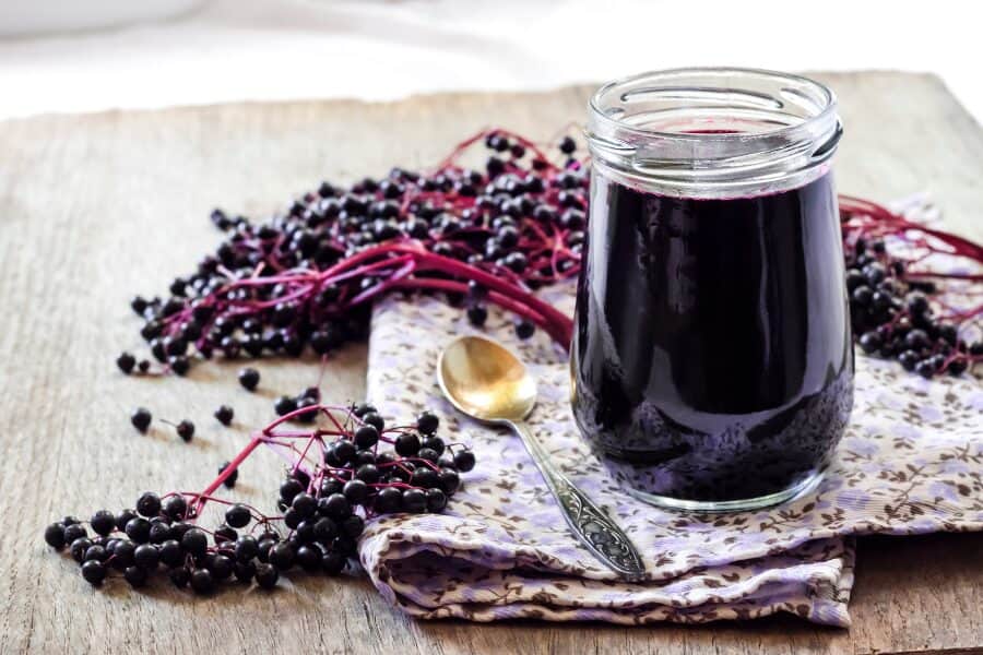 Elderberries are a nutritional powerhouse