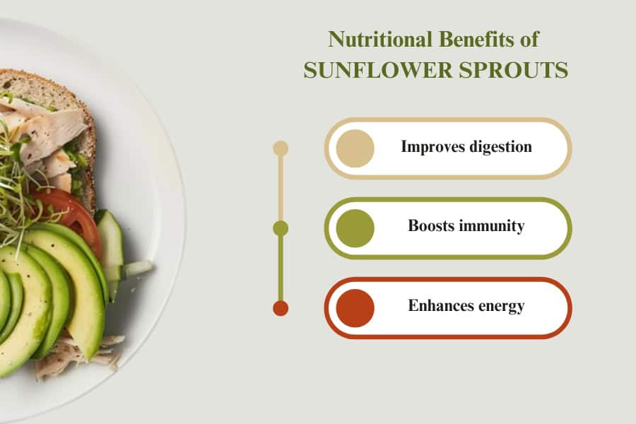 Benefits of Including Sunflower Sprouts in Your Diet