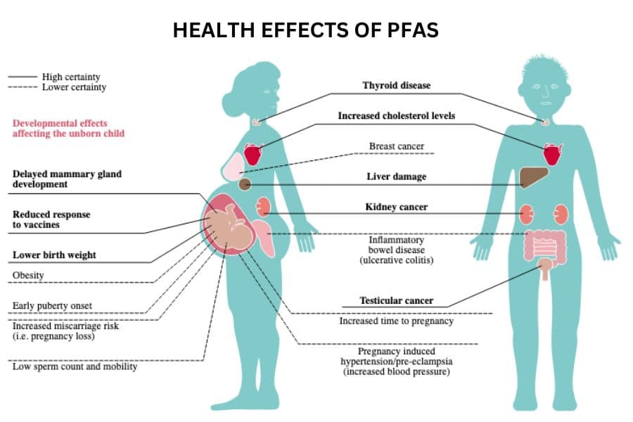 Health Risks of PFAS