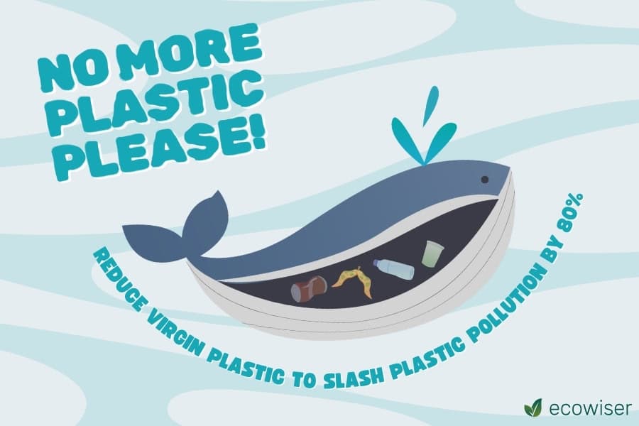 Reducing Virgin Plastic Production