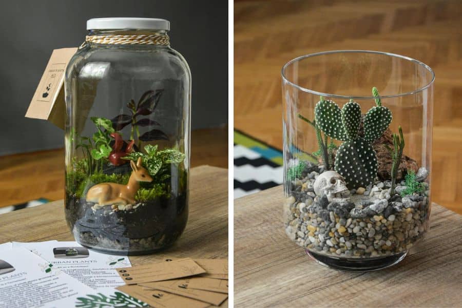 Types of Terrariums