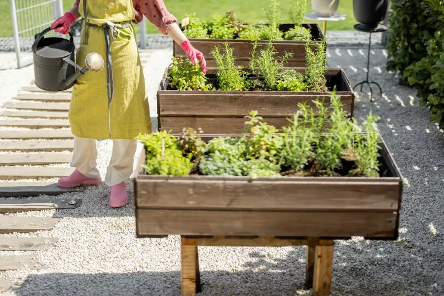 Sustainability with EcoWiser: Green Practices for Lilac Bush Care