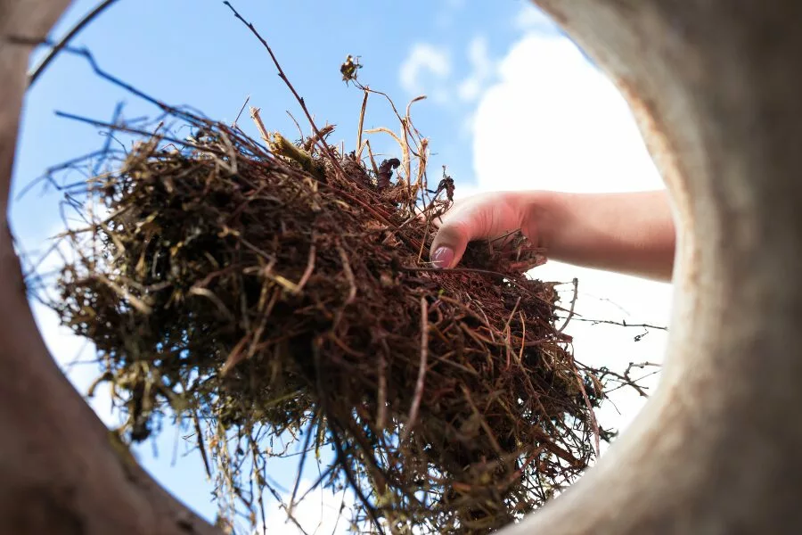 How to Maintain a Composting Toilet 